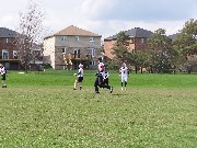 OTFL Gallery Image