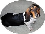 OTFL Gallery Image